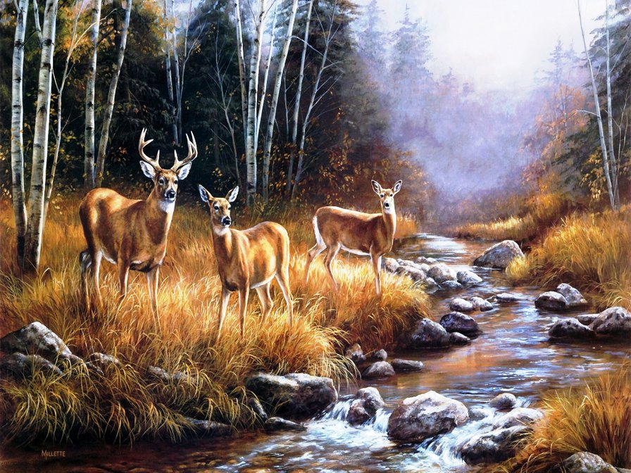 олени у ручья - осень, пейзаж, лес, олени, животные, природа, ручей - оригинал