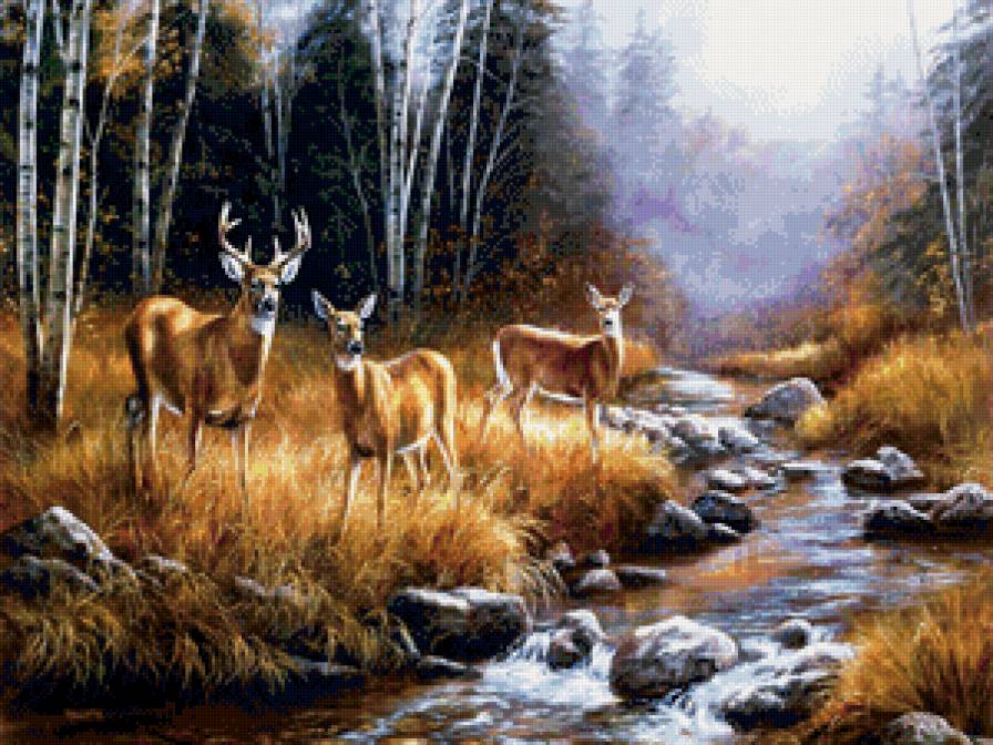 олени у ручья - животные, ручей, осень, природа, пейзаж, олени, лес - предпросмотр