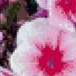 Предпросмотр схемы вышивки «цветы» (№703524)