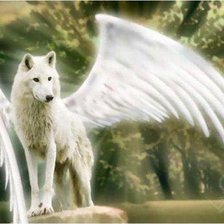 Схема вышивки «крылатый волк»
