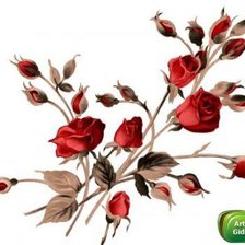 Оригинал схемы вышивки «Розы» (№704725)