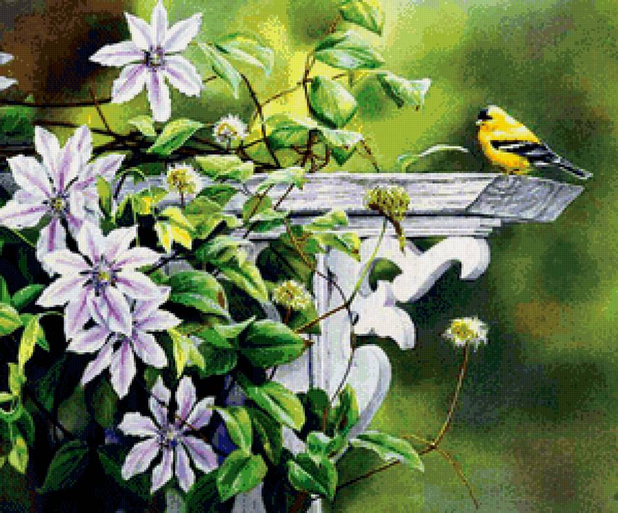 цветы и птицы - пано, птицы, природа, цветы - предпросмотр