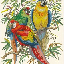 Оригинал схемы вышивки «три попугайчика» (№704944)