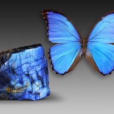 Схема вышивки «бабочка и камень»