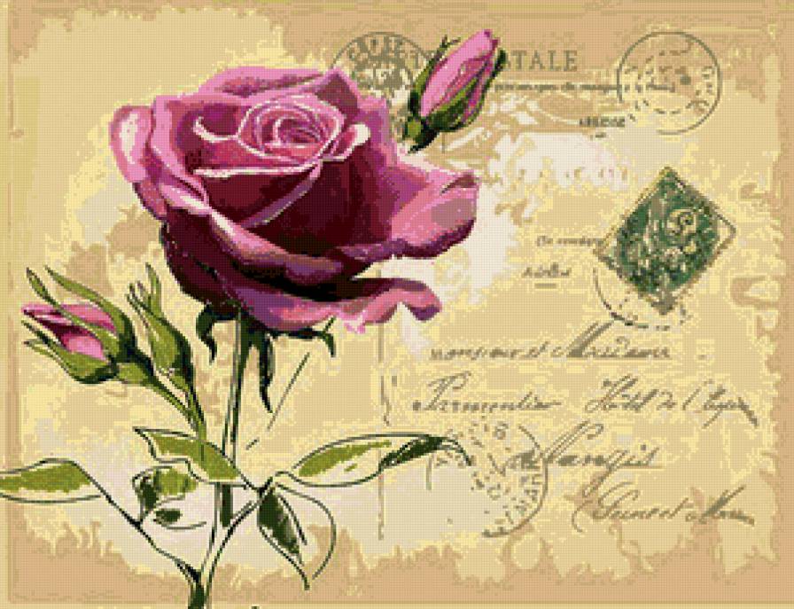 пано почтовая открытка - картинка, роза, пано - предпросмотр