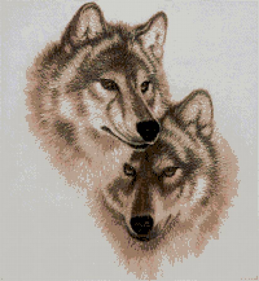 Волки - любовь, волки, живртные - предпросмотр