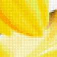 Предпросмотр схемы вышивки «Желтые тюльпаны» (№705687)