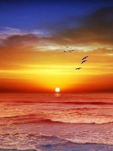 Море - закат, вода, солнце, море - оригинал