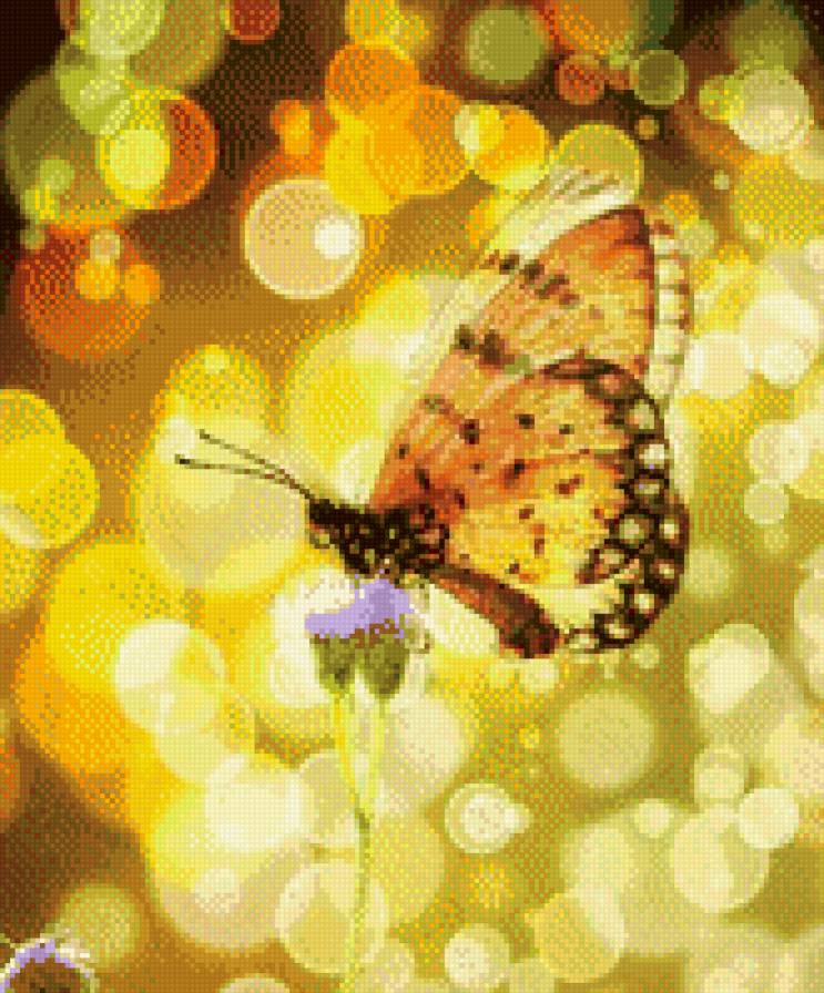 Бабочка - бабочка, природа, цветок - предпросмотр