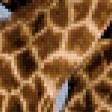 Предпросмотр схемы вышивки «Жирафы» (№705896)