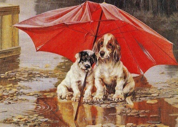 друг в беде не бросит - друг человека, собачки, зонтик, животные, дождь, зонт - оригинал
