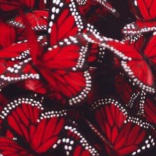 Оригинал схемы вышивки «бабочки» (№707622)