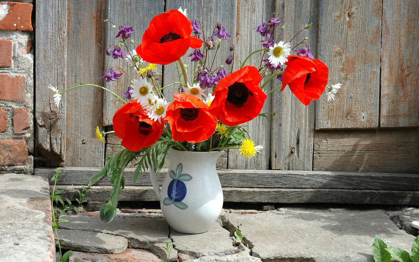 Маки - маки, ваза, цветы - оригинал