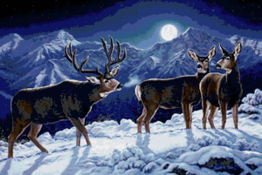 северные олени - природа, животные, олени, снег, горы, пейзаж - предпросмотр
