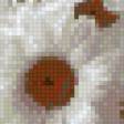 Предпросмотр схемы вышивки «Ромашки» (№708379)