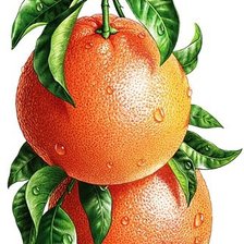 Оригинал схемы вышивки «Апельсины» (№708538)