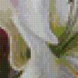 Предпросмотр схемы вышивки «Лилии на воде» (№708781)