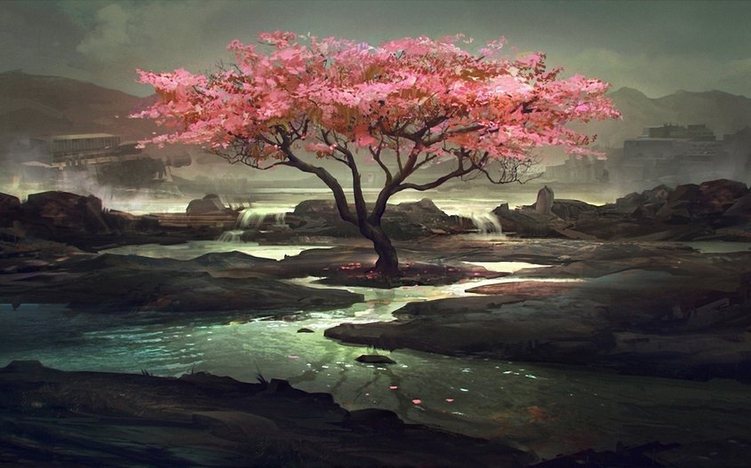 Сакура - дерево, природа, сакура - оригинал