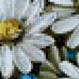Предпросмотр схемы вышивки «полевые цветы» (№708914)