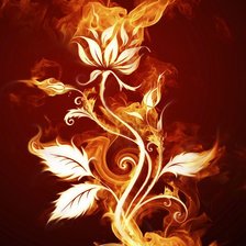 Оригинал схемы вышивки «огненный цветок» (№710080)