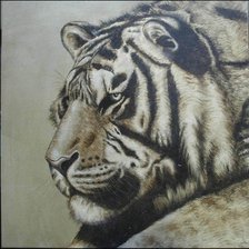 Оригинал схемы вышивки «тигр» (№710585)