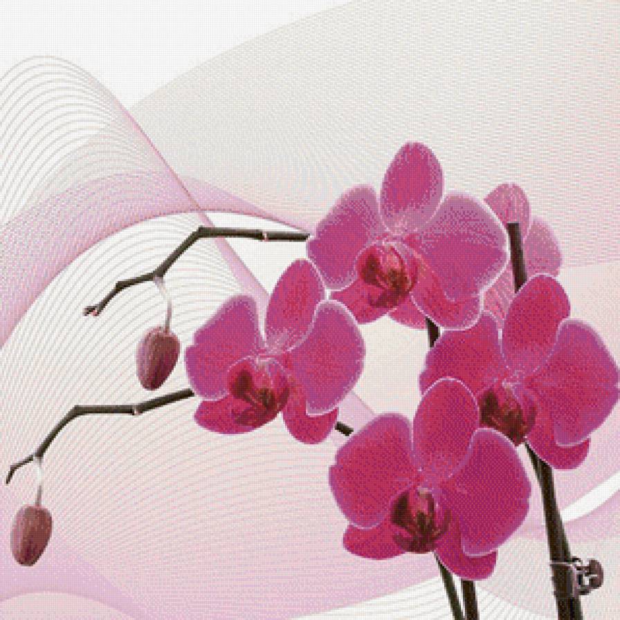 триптих орхидея (правая часть) - цветы, орхидея, триптих - предпросмотр