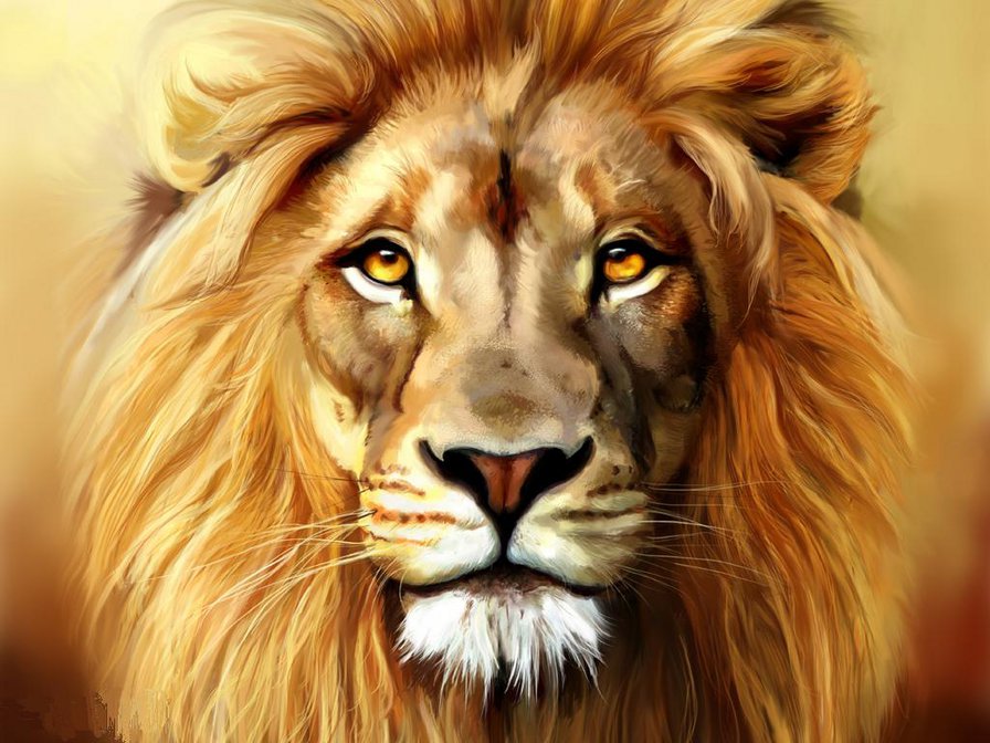 Лев - лев, хищники, животные - оригинал