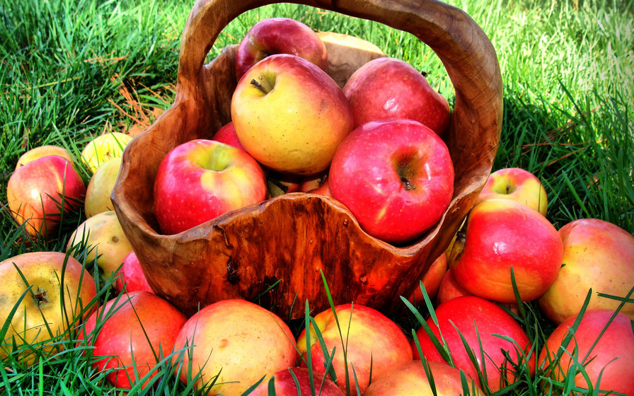 Наливные яблочки - яблоки, корзинка, фрукты - оригинал