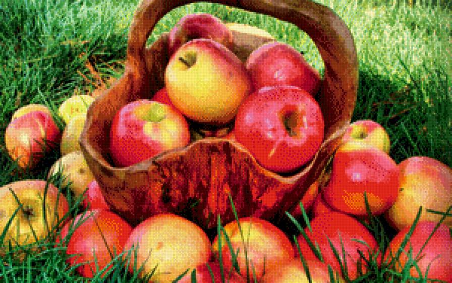 Наливные яблочки - яблоки, фрукты, корзинка - предпросмотр