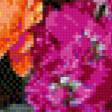Предпросмотр схемы вышивки «Цветочная радуга» (№712117)