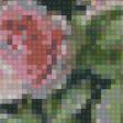 Предпросмотр схемы вышивки «букет роз» (№712303)