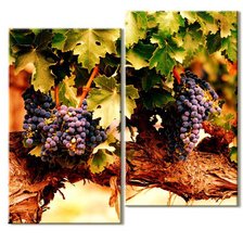 Схема вышивки «Диптих Гроздь винограда»