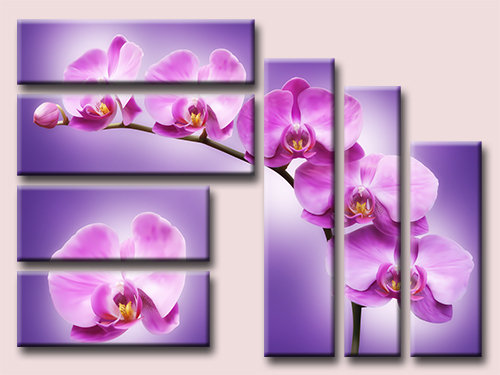 Полиптих орхидея - полиптих, картина, орхидея, триптих, диптих - оригинал