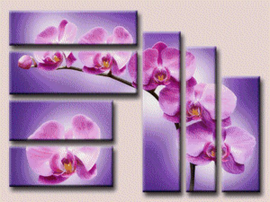 Полиптих орхидея - орхидея, триптих, полиптих, картина, диптих - предпросмотр