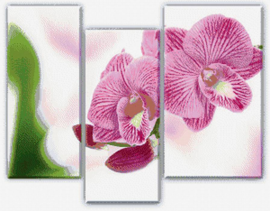 Ветка орхидеи триптих - орхидея, триптих, картина - предпросмотр