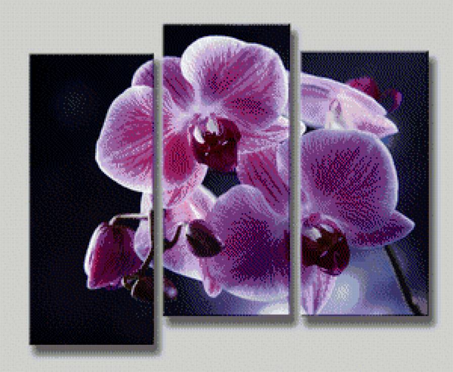Орхидея триптих - орхидея, триптих, картина - предпросмотр