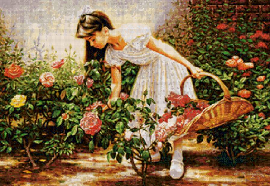 В саду роз - розы, сад, девушка, девочка - предпросмотр