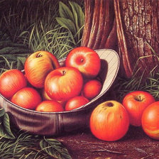 Спелые яблочки