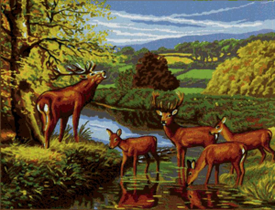 олени - картина, лес, олени, животные, семья - предпросмотр