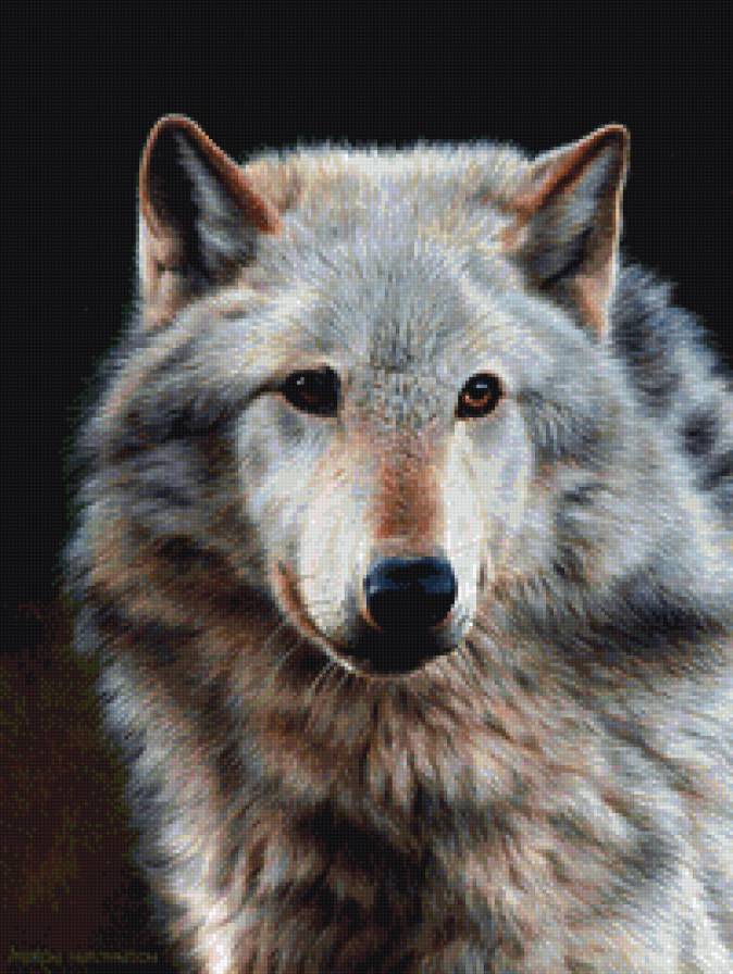 Волк - волк, лесные обитатели - предпросмотр