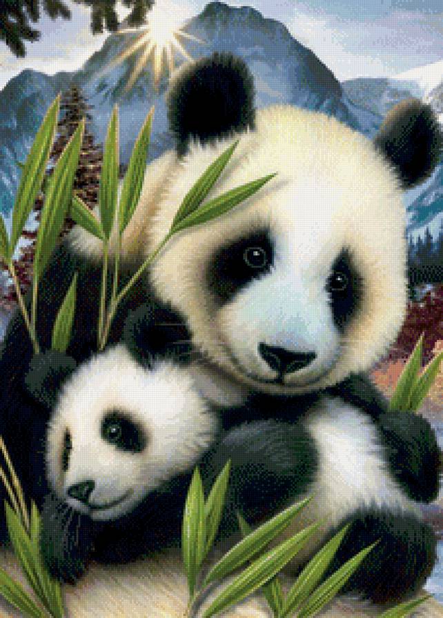 панды - панда, семья - предпросмотр
