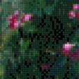 Предпросмотр схемы вышивки «Łąki, trawy, kwiaty...» (№717026)