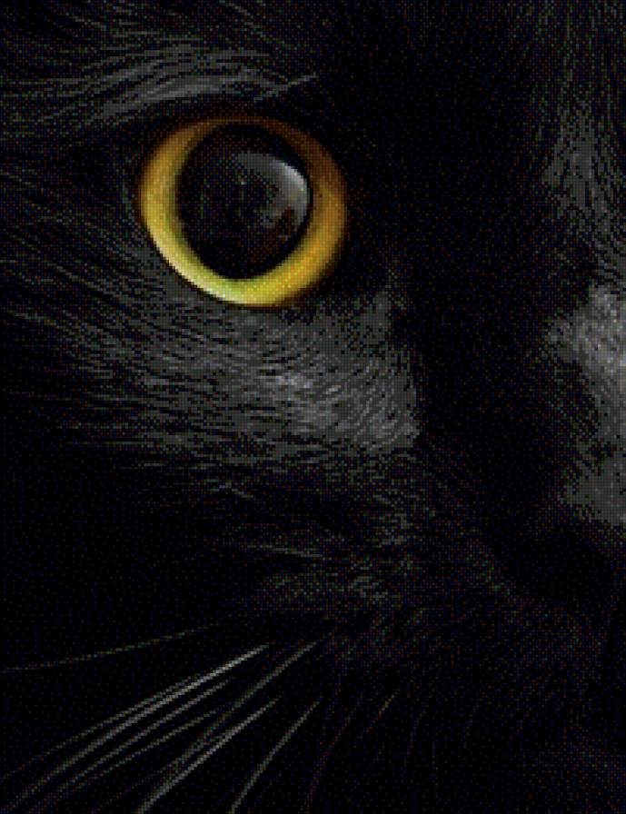 Тайная - черный, кошка, глаз - предпросмотр