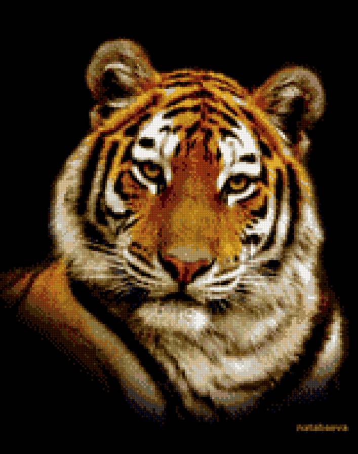 Тигр - кошки, животные, тигр - предпросмотр