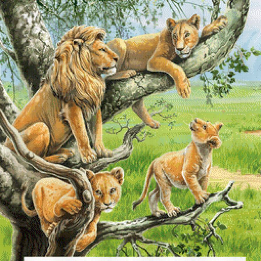 львы - кошки, львы, лев, семья, львица, животные, хищники, львенок - предпросмотр