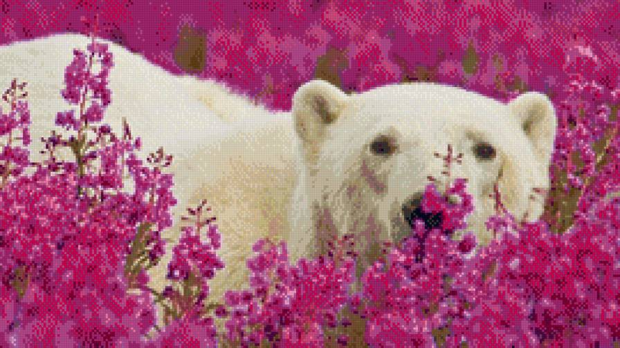 Белый мишка. - цветы, весна, умка, белый медведь - предпросмотр