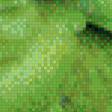 Предпросмотр схемы вышивки «зеленый попугай» (№719567)