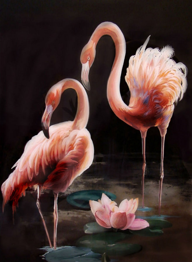 Ночные фламинго - птицы, фламинго - оригинал