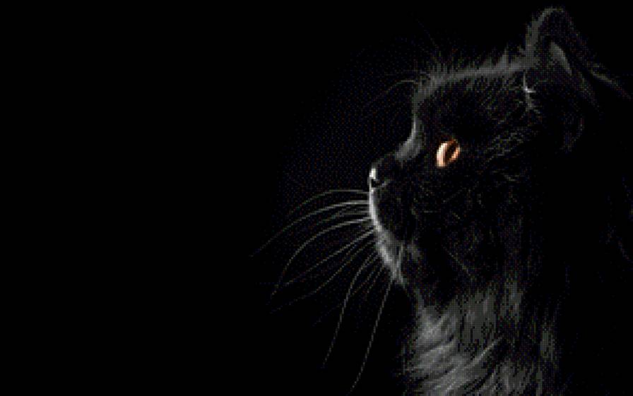 Тот же только в профиль - черный, красиво, животные, кот - предпросмотр