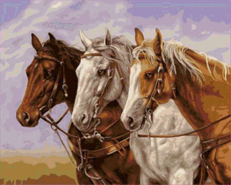 Лошади - природа, лошади, животные - предпросмотр